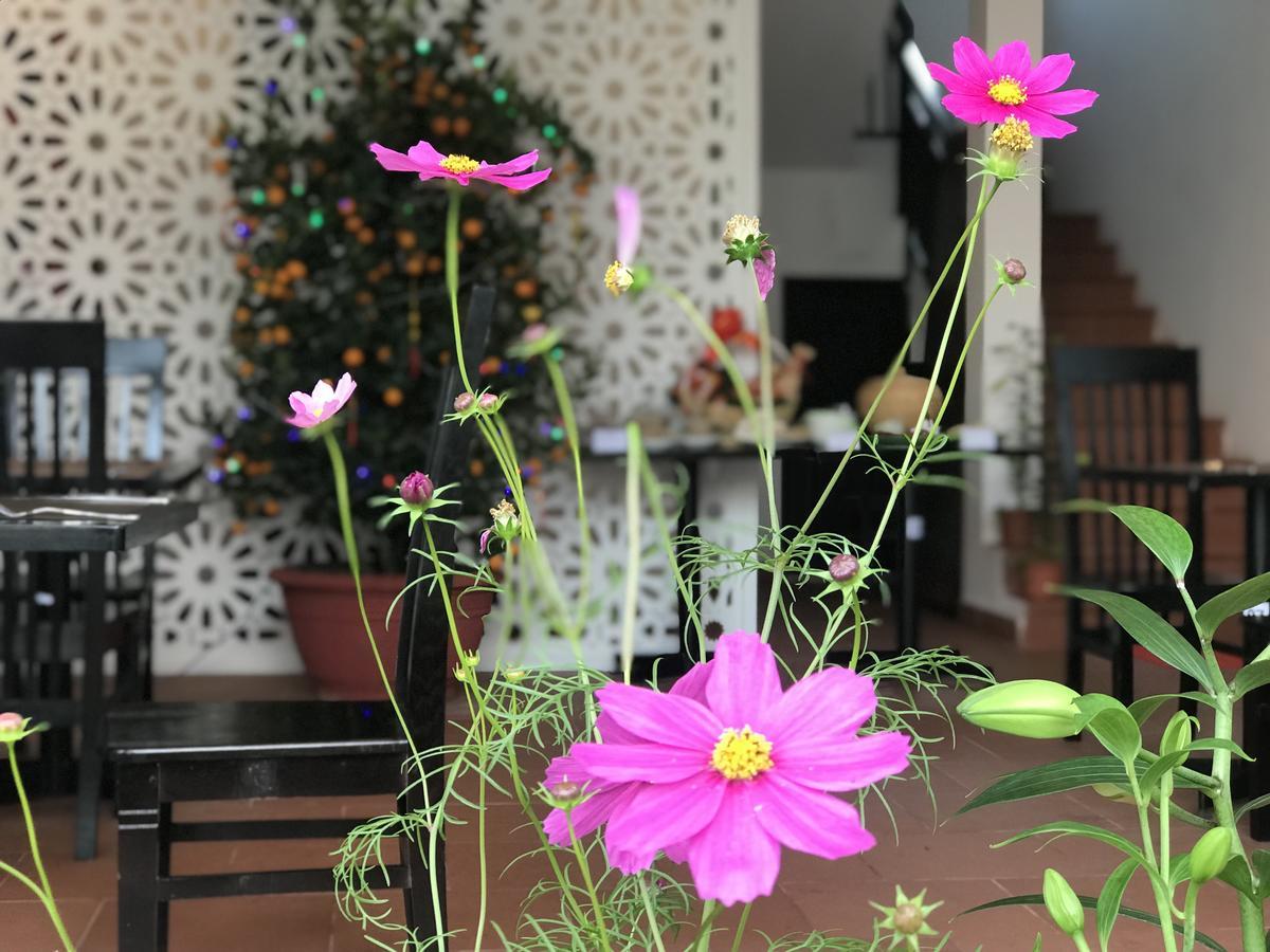 Vinci Villa Hoi An Eksteriør billede
